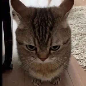 Meet your Posher, Jayda